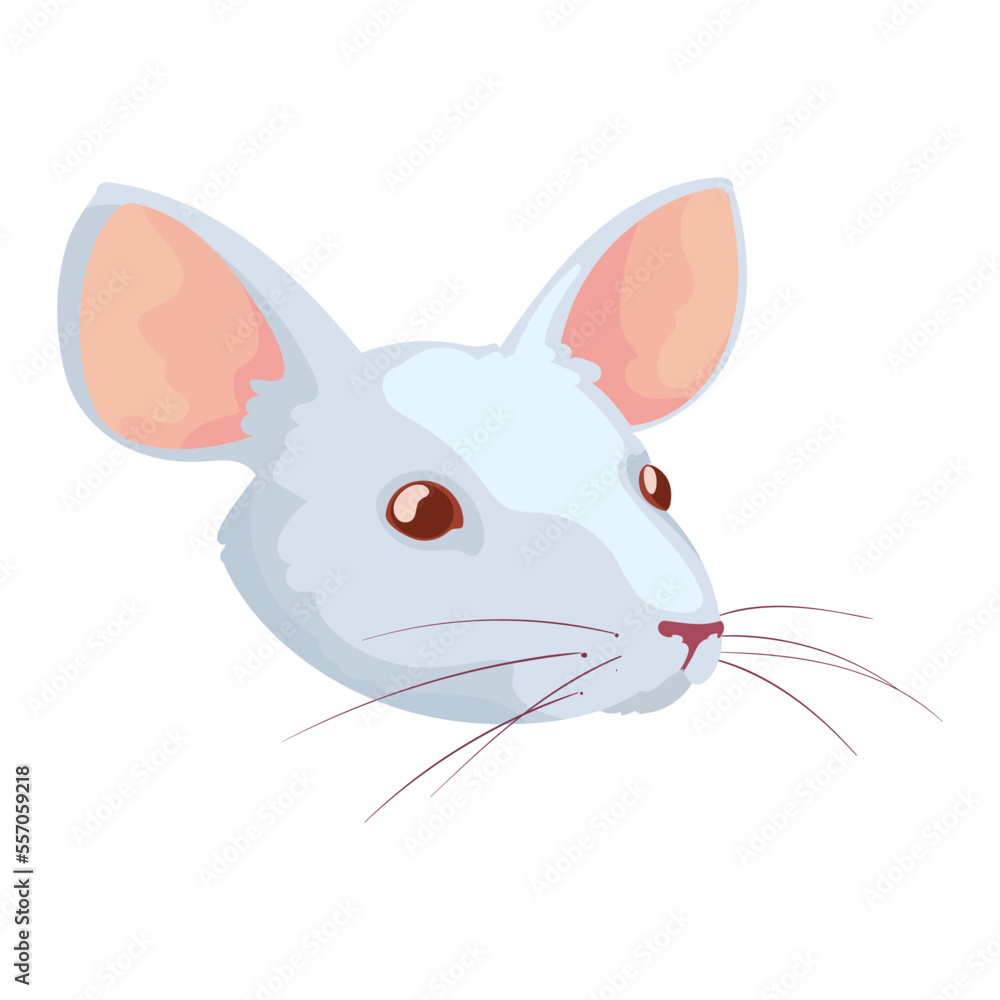 Obraz premium rat face deisgn