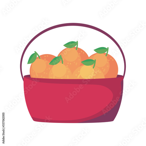 oranges basket design