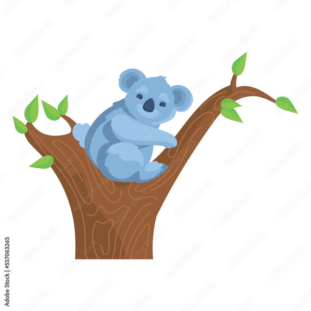 Fototapeta premium cute koala bear