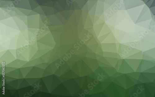 Light Green vector polygonal pattern.