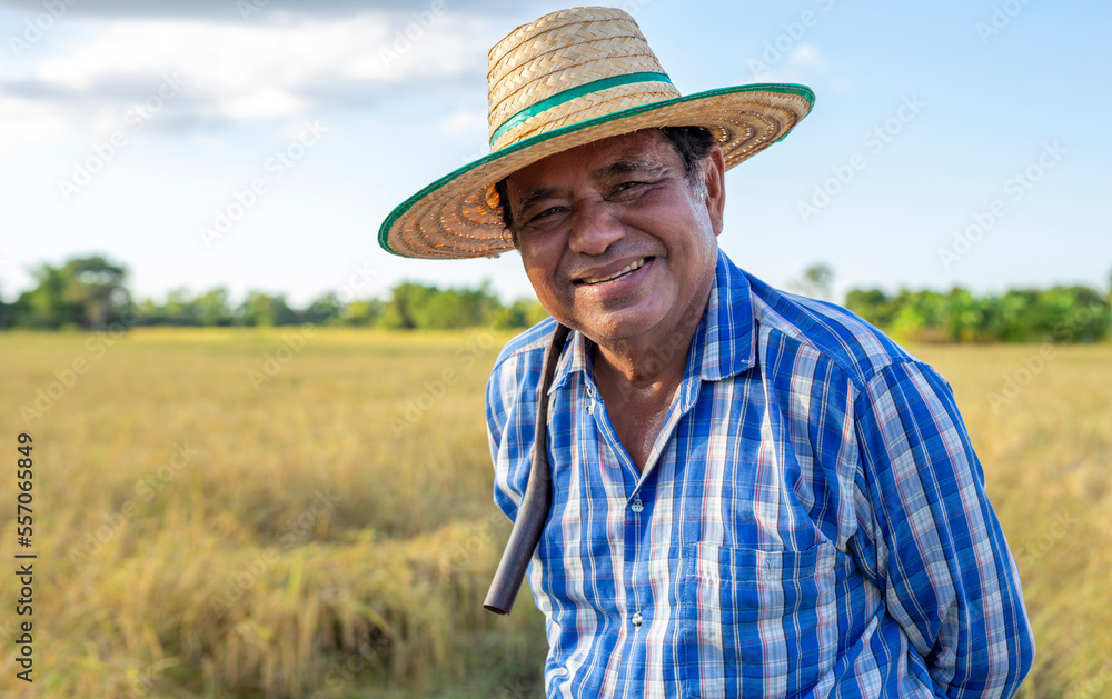 Happy smiling, Asian elderly farmer wearing a shirt and hat standing in paddy rice field. Portrait Thai farmers