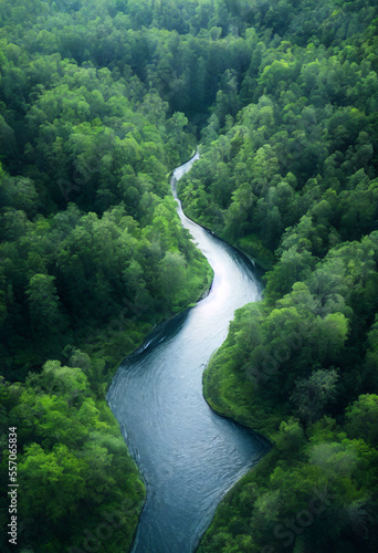 river in the tropical jungle forest
