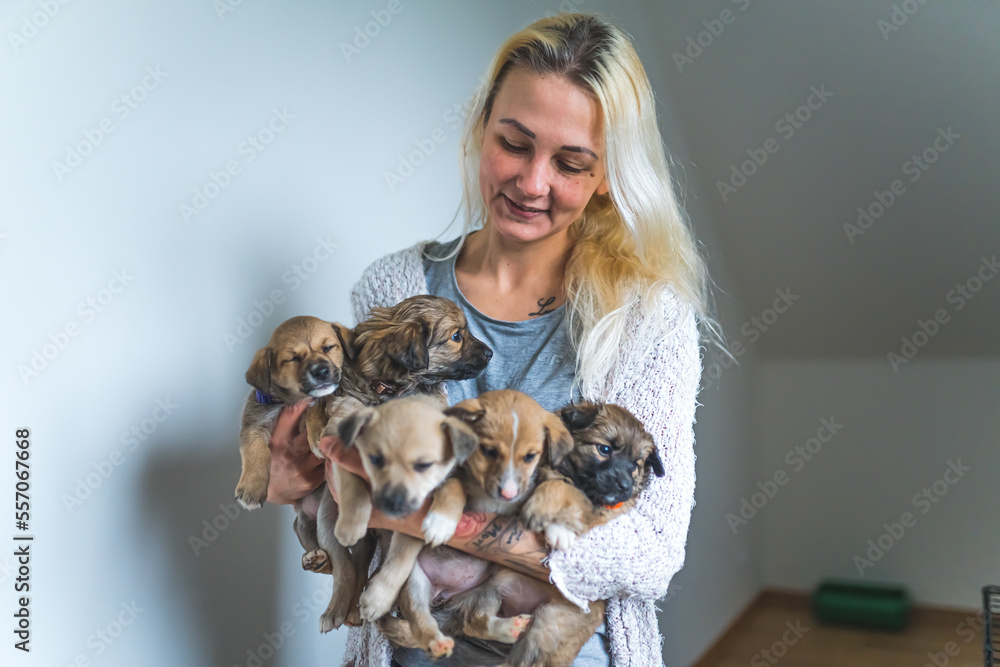 Woman volunteer holding a big group of little puppies. High quality photo