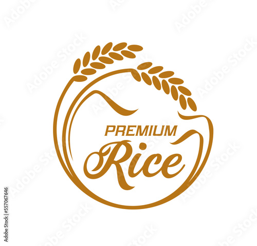 Rice icon, vector emblem with round frame of cereal stalks and premium rice typography. Paddy rise organic natural product label, agriculture field production advertising, isolated element for package