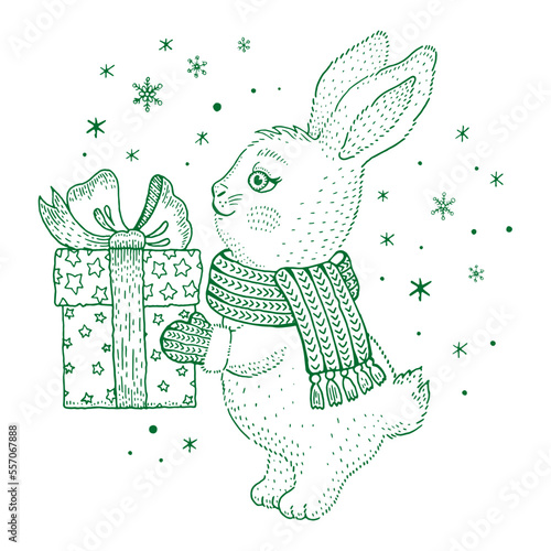 New Year's rabbit 2023