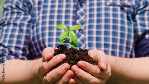 Man holds a green plant in his hands. In palms of farmer, sprout in fertile land. Agriculture concept. Gardener on plantation presses sprouts into soil. Agriculture, Grow food. Caring for environment