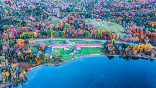 Stampa su tela Autumn Colors in Forest, Drone view of Cape Breton Island, Forest Drone view, Co