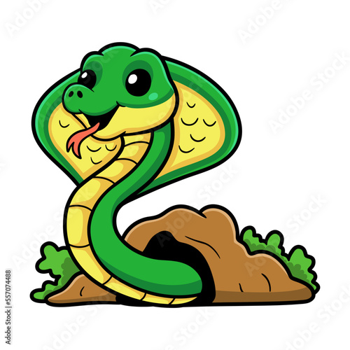 Cute little cobra snake cartoon