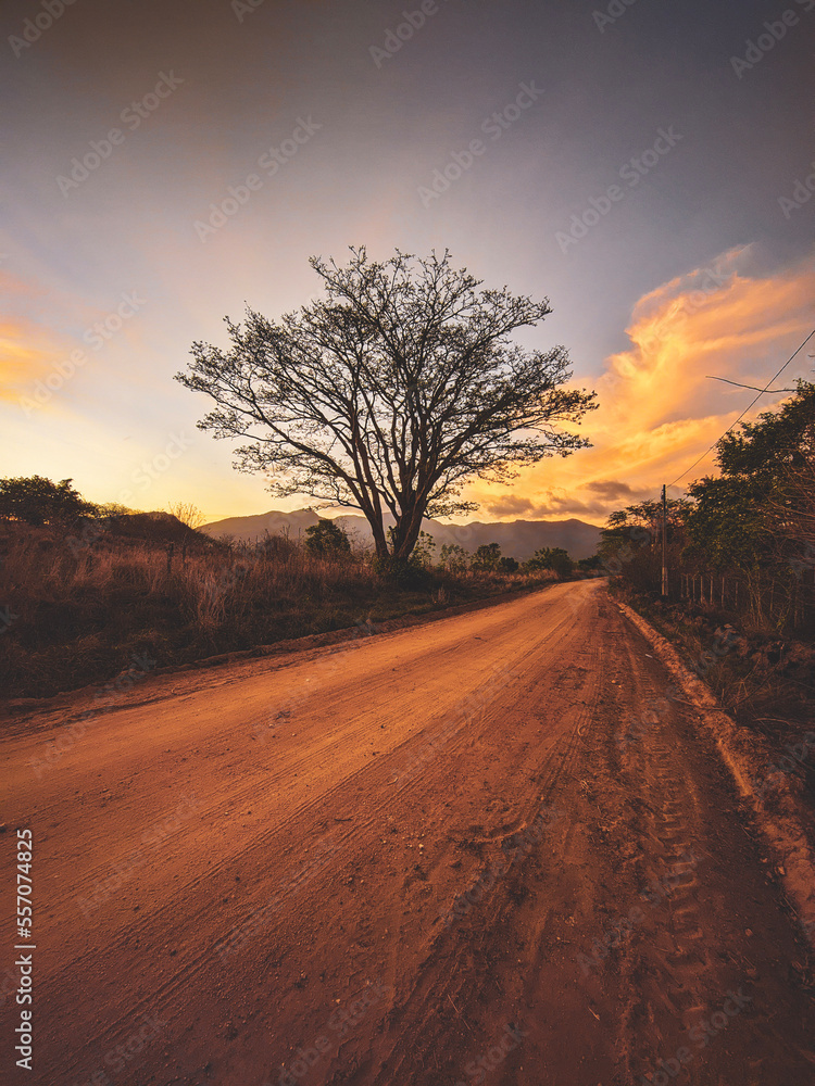 Obraz premium sunset on the road