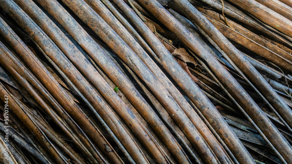 dry palm leaves texture as background dry palm leaves texture as background