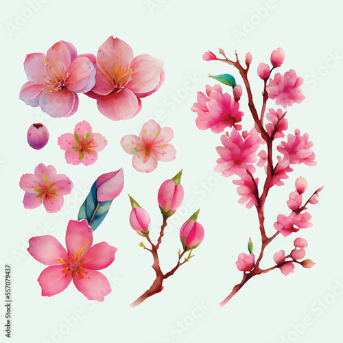 Set of Beautiful Watercolor Flowers pink cherry blossom collection © Jeba