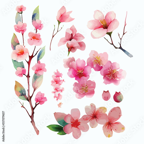 Fototapeta Naklejka Na Ścianę i Meble -  Set of Beautiful Watercolor Flowers pink cherry blossom collection