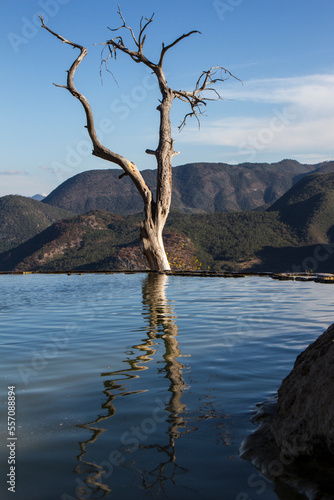 Árbol y su reflejo en el agua con montañas de fondo. Hierve el agua, Oaxaca, México. © JuanRamn