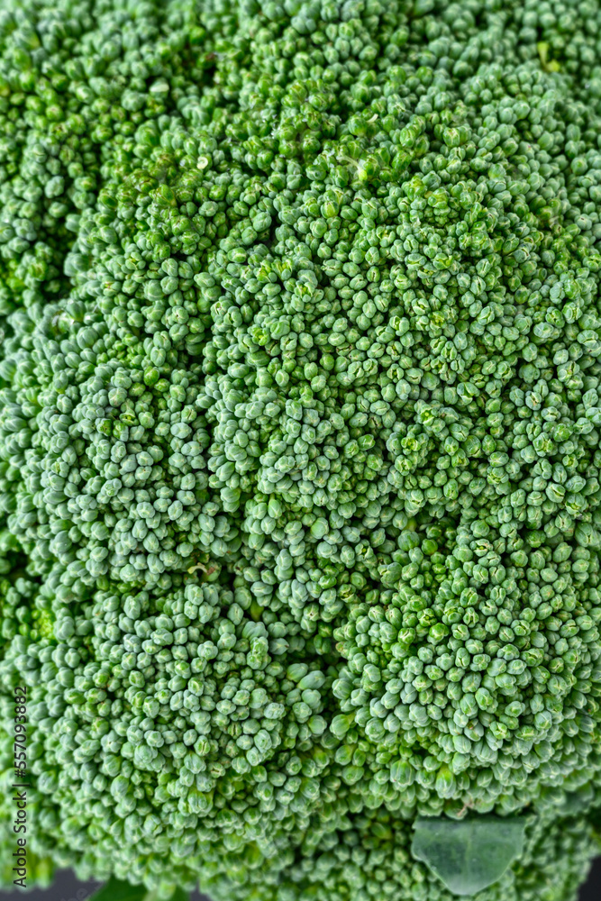 Nutritious, healthy, fresh raw broccoli crown in closeup as a macro background
