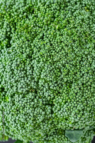 Nutritious, healthy, fresh raw broccoli crown in closeup as a macro background 