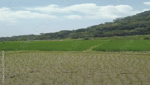 field and blue sky