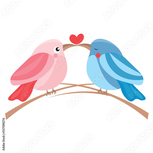 Loving couple of birds on white background