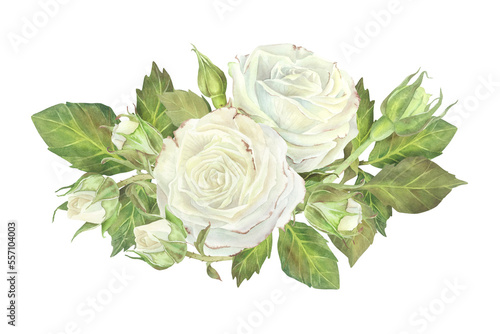 White roses with leaves composition. Watercolor illustration.Isolated on a white background.For design of sticker, dishes, greeting card, stationery, cosmetics, perfumes packaging, wedding invitation © Ekaterina
