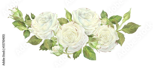 Semicircular composition of white roses and buds with leaves. Watercolor illustration. Isolated on a white background. For design of dishes, greeting card, perfumes packaging, wedding invitation