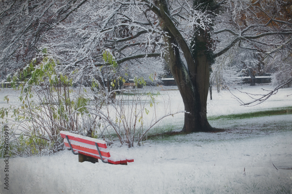 Obraz premium Winter