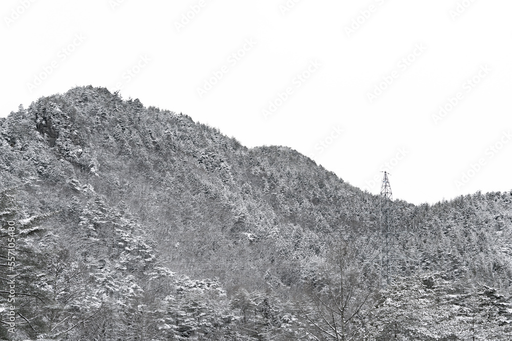 吹雪の日に撮影した、山の木々に雪が薄っすらと積もった写真