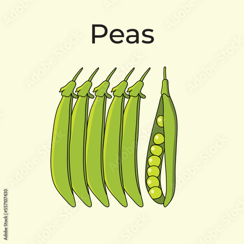 Peas Fruit Illustration Vector Vegetable
