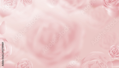 Wall Display of blurred Pink English Rose background,Vector 3D scene wallpaper with blurry spring flower,Sweet pink pastel backdrop banner for beauty product,Mother day,Valentine Day