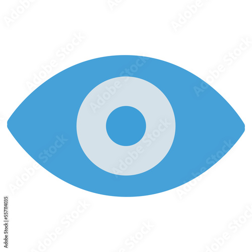 Vision Flat Icon