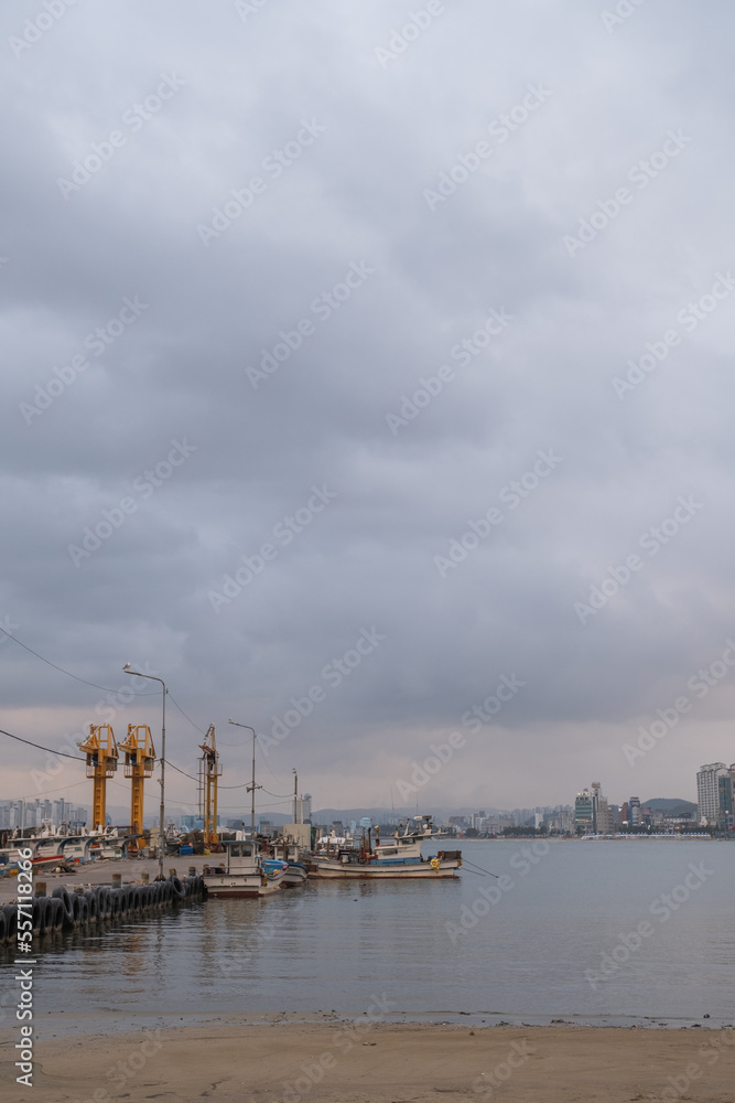 The afternoon at the fishing port