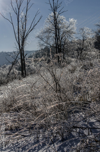 Fototapeta Naklejka Na Ścianę i Meble -  Uroki zimy 