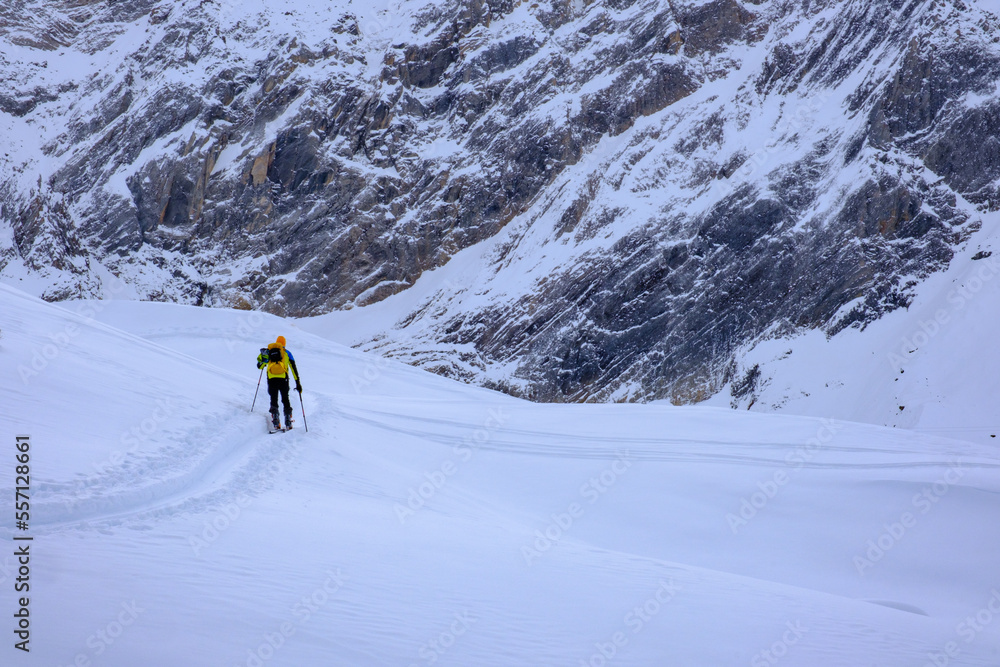 Scialpinista nella neve fresca della Valle Bedretto, Alpi Svizzere