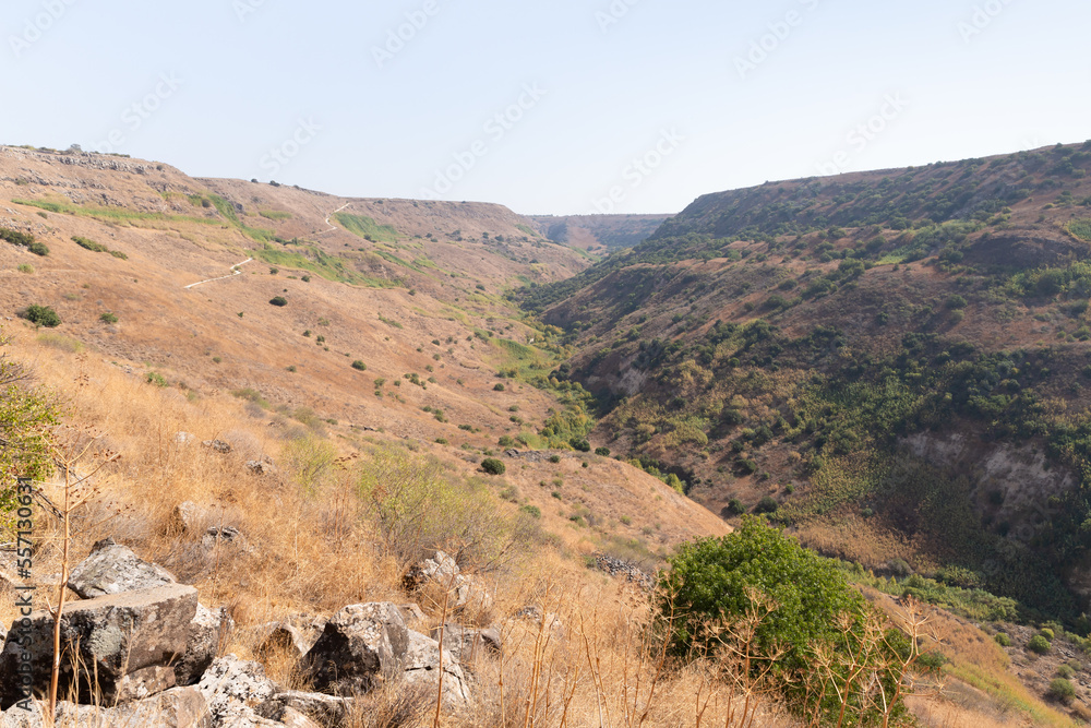 View from the Gamla city ruins to the adjacent gorge in the area of the Gamla Nature Reserve, Golan Heights, northern Israel View from the Gamla city ruins to the adjacent gorge in the area of the Gamla Nature Reserve, Golan Heights, northern Israel