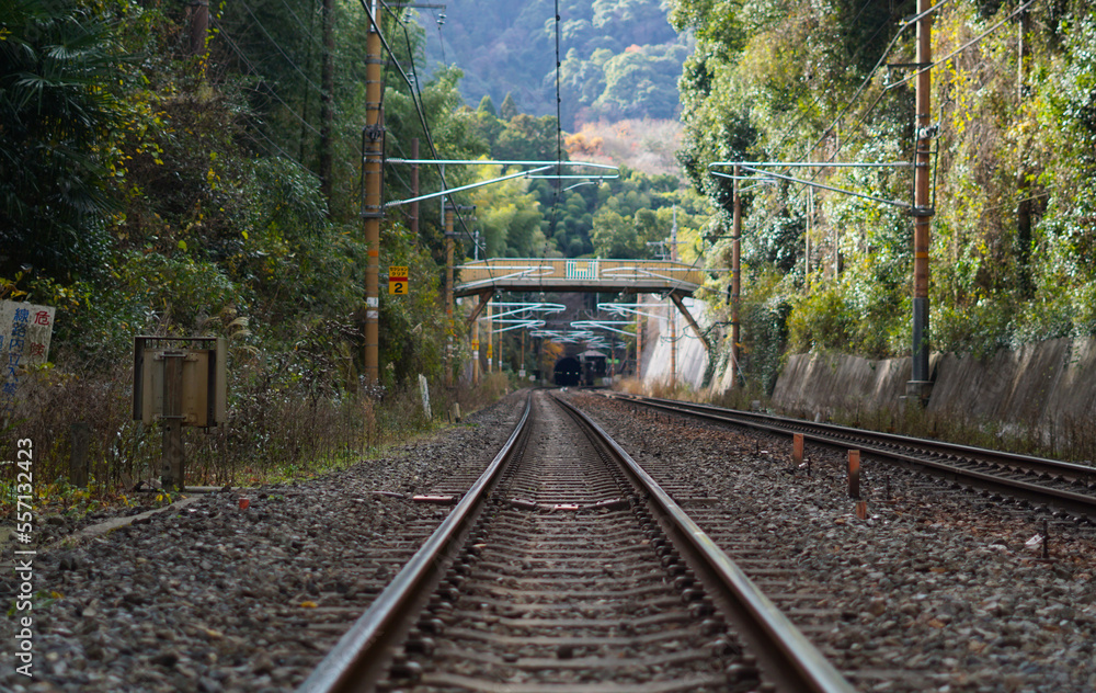 Obraz premium Railway in the forest 