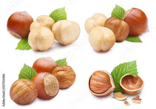 Collection of delicious hazelnuts, isolated on white background