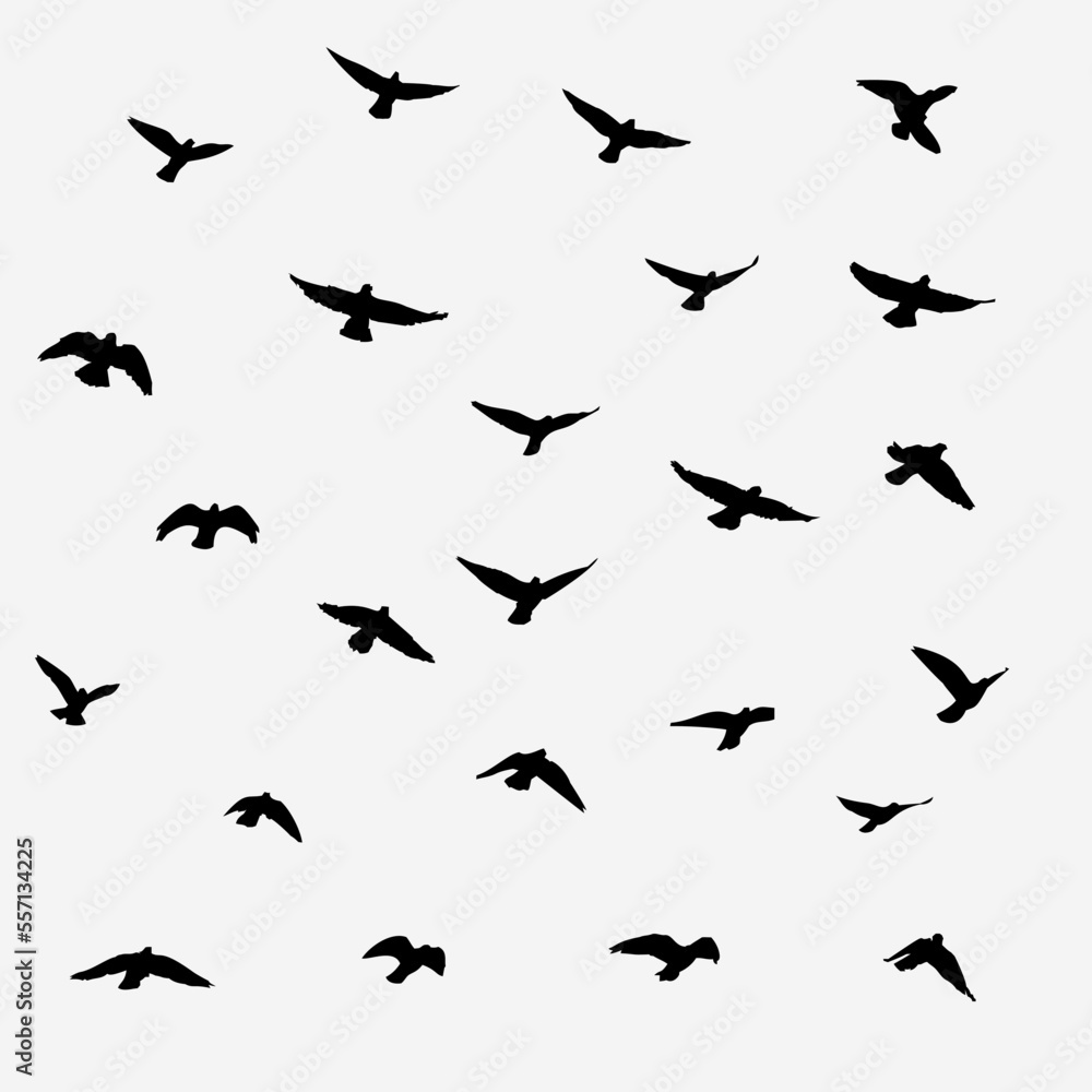 silhouettes of birds on white