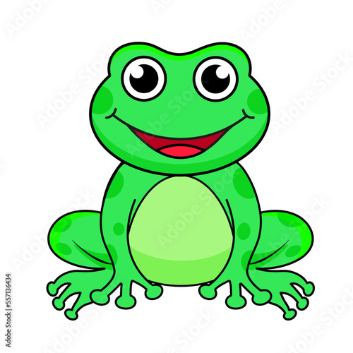 bright vector illustration of a frog, cute frog sitting, hand drawing