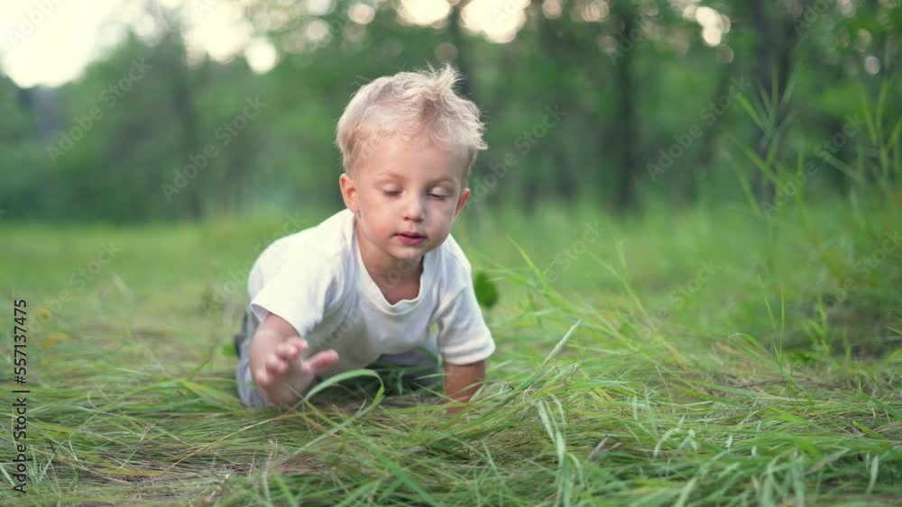 Happy little boy crawls on the grass in forest park. Family picnic in forest park. The kid crawls on the green grass. Childhood dream concept. Happy family concept. Child learns to walk on a picnic. Happy little boy crawls on the grass in forest park. Family picnic in forest park. The kid crawls on the green grass. Childhood dream concept. Happy family concept. Child learns to walk on a picnic.