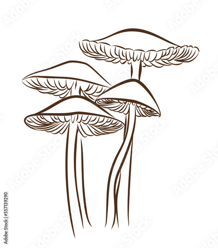 The sketch of forest mushrooms symbol.