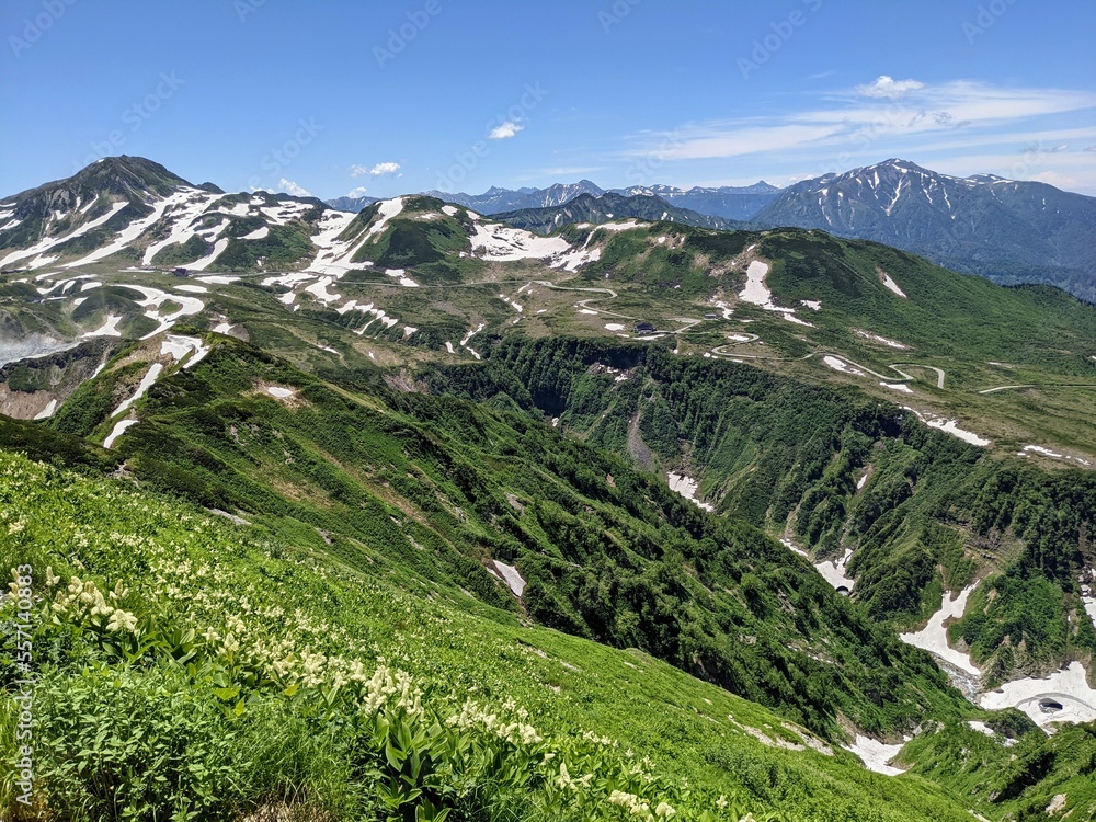 Around the Tateyama Kurobe Alpine Route in July, view from Mt. Okudainichi. Kamiichi Town, Toyama Prefecture, Japan