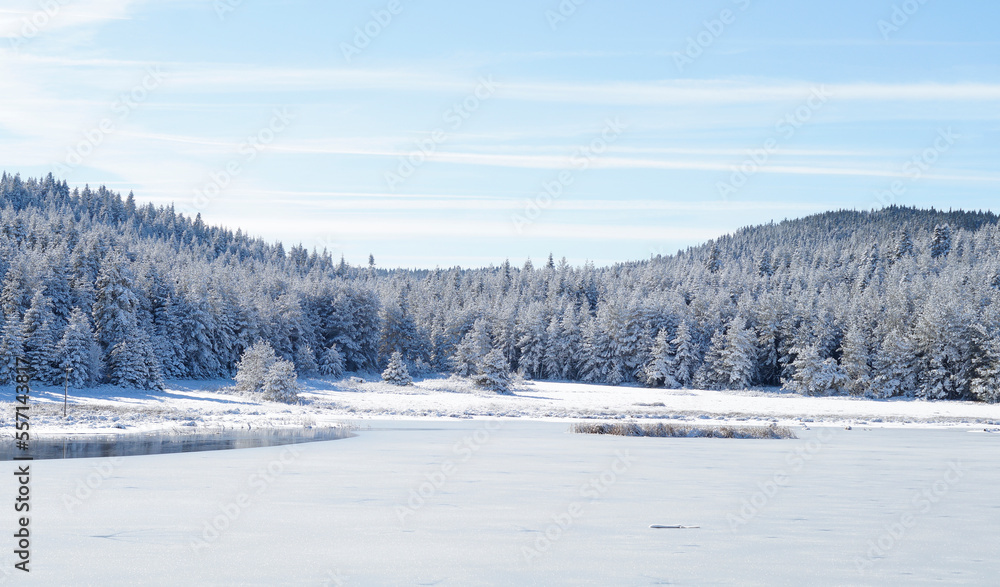 A frozen lake and snow-covered trees behind it A frozen lake and snow-covered trees behind it