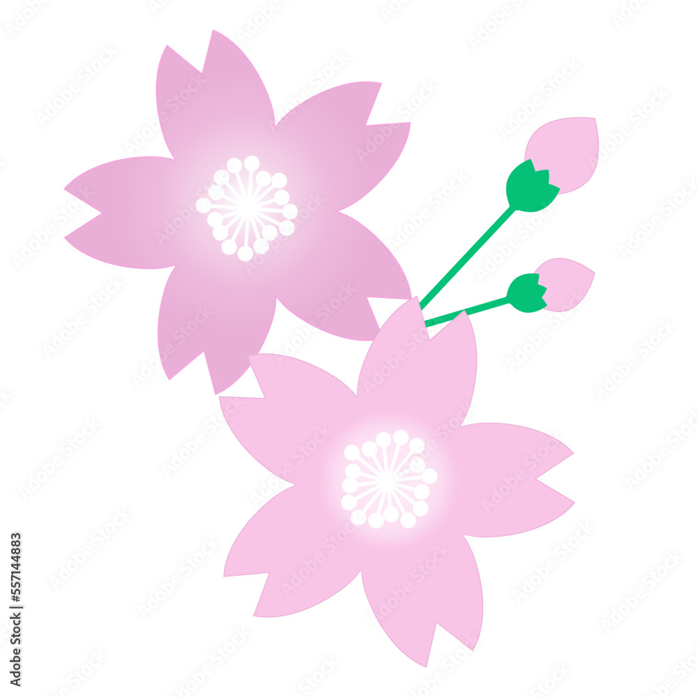桜花びら04_4200_4200px 桜花びら04_4200_4200px