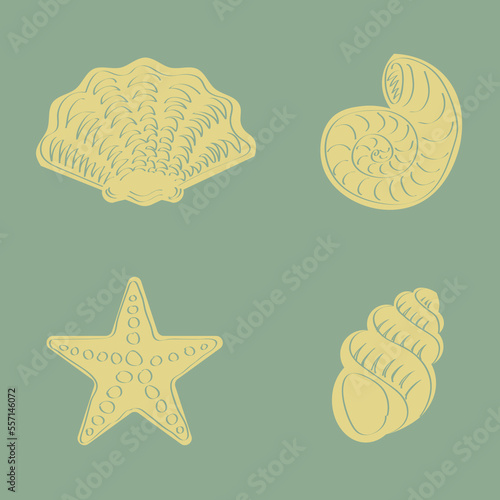 Set of hand drawing sea creatures shells and starfish vector