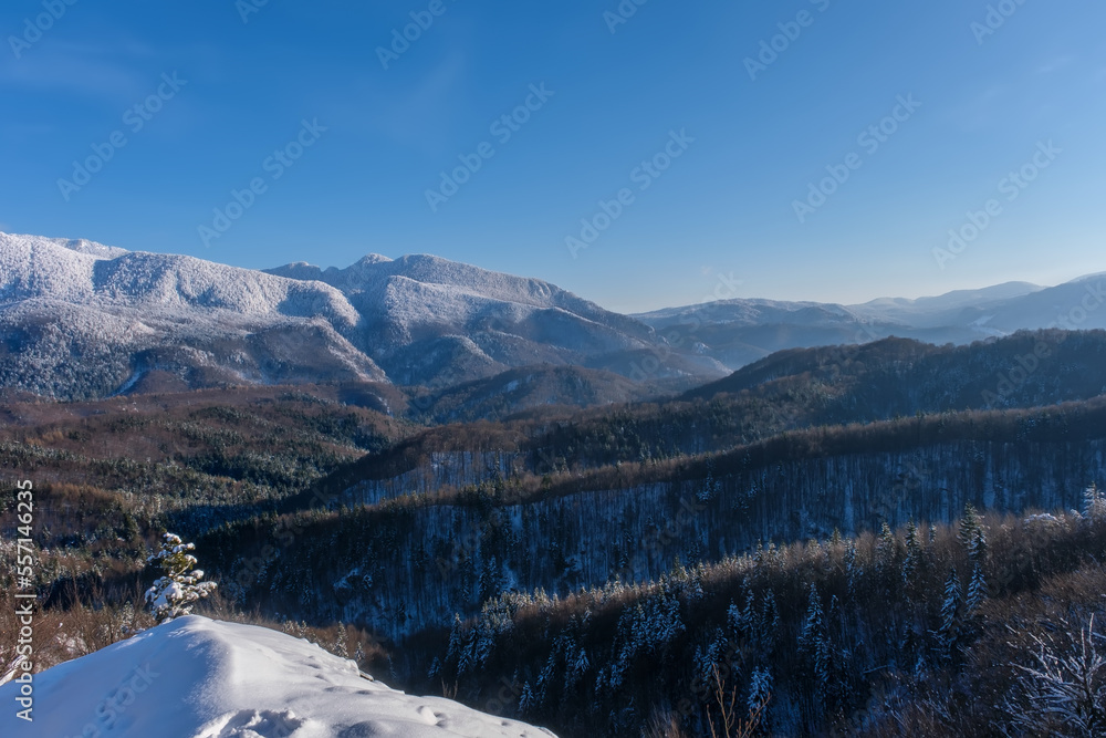 A panoramic view of the covered with frost trees in the snowdrifts. Magical winter forest. Natural landscape with beautiful sky. The revival of the planet