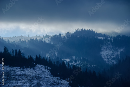 Dramatic sunset alpine natural background of sun hiding behind clouds, sending its sunny beams through the majestic spruce trees forests that cover the foggy mountains slopes. Cold blue tint landscape