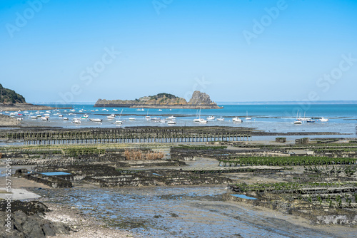 Low tide in oyster farm, Cancale, France photo