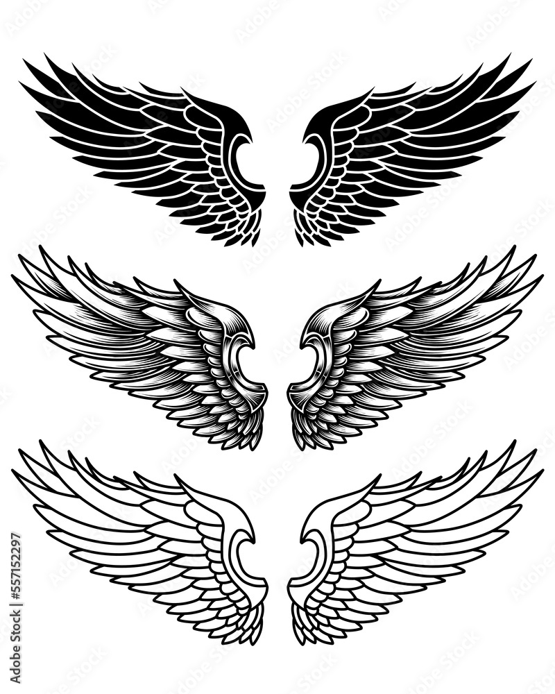 Obraz premium vector set of wings or angel wings tribal tattoo vintage outline and line art