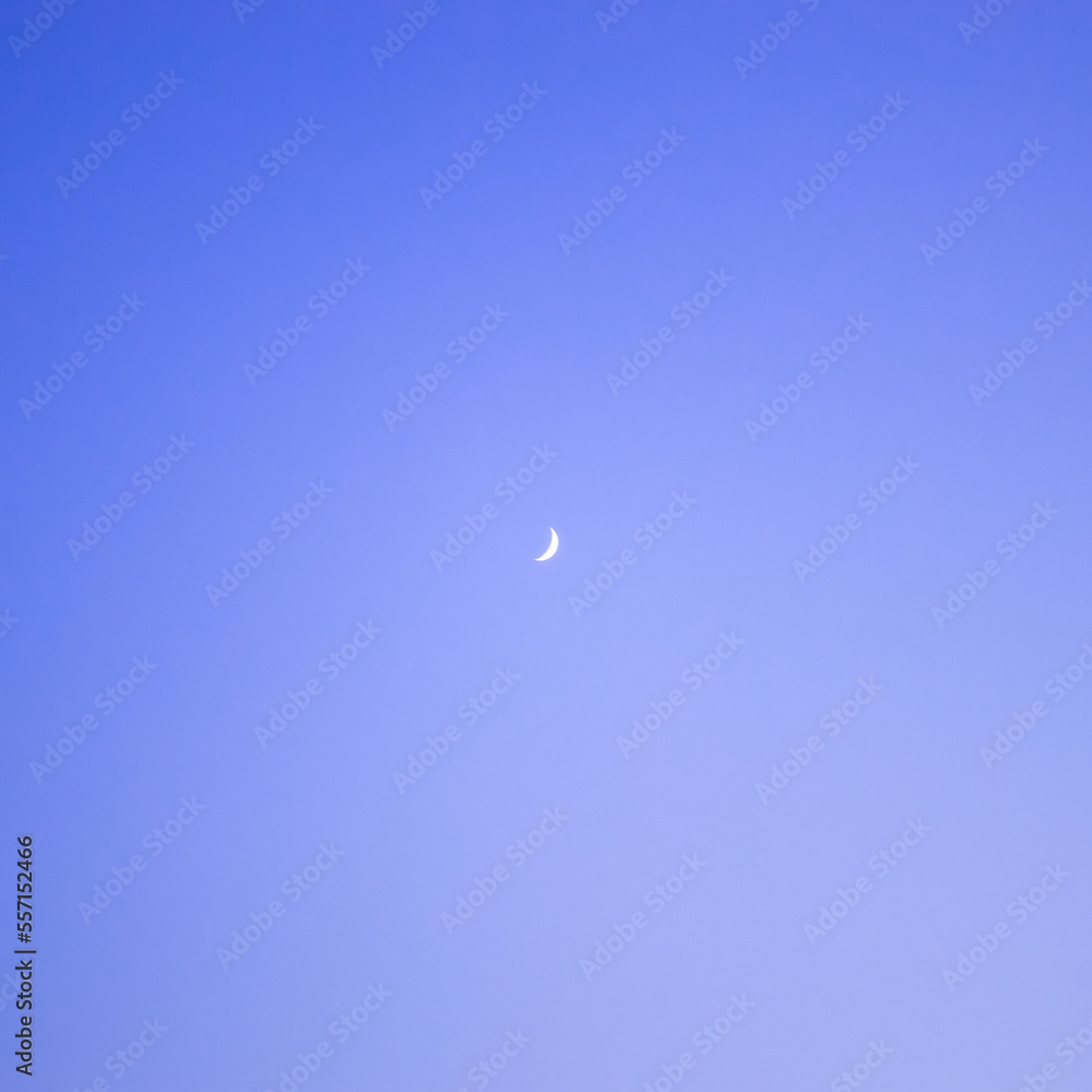 明るい時間帯に見える小さな三日月 明るい時間帯に見える小さな三日月
