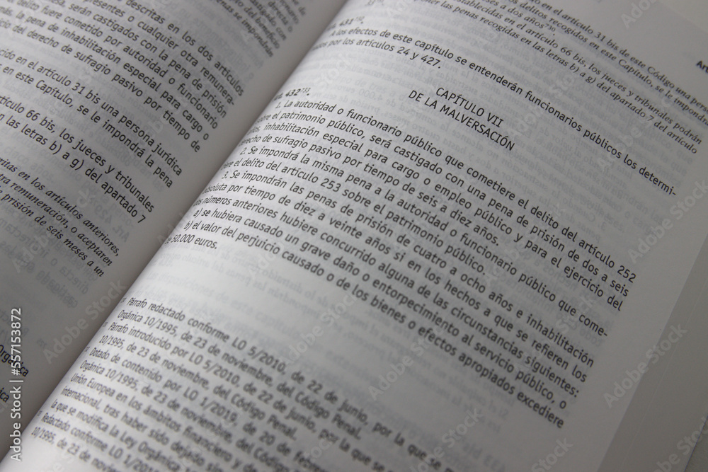 Text of the chapter on Embezzlement in the Spanish Penal Code Text of the chapter on Embezzlement in the Spanish Penal Code