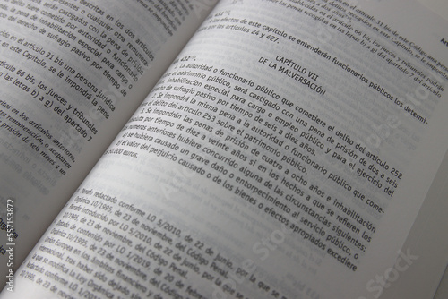 Text of the chapter on Embezzlement in the Spanish Penal Code photo