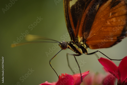 ein kleiner Besucher